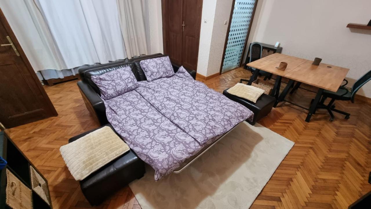 Neuhausz Suite - Ultracentral Timisoara Exterior foto